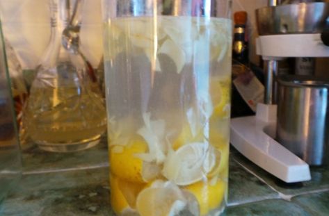 Refreshing, light and spicy! All in one. Infused vodkas are all the rage these days so why not try your hand at one? This one makes an awesome martini for sure! Infused Liquors, Infused Recipes, Spicy Drinks, Lemon Vodka, Vodka Recipes, Camp Food, Infused Vodka, Lemon Ginger, Dessert Drinks