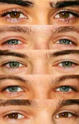 Perfect eyes One Direction Eyes, Harry Styles Eyes, One Direction Images, Niall And Harry, Miss You Guys, One Direction Photos, 1d 5sos, One Direction Humor, One Direction Memes