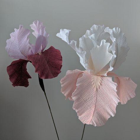 Downloadable Crepe Paper Iris Template/pdf Printable Download/diy Paper Flower Template/paper Iris Template/bearded Iris Template Tutorial - Etsy Australia Paper Iris, Big Paper Flowers, Crepe Paper Flowers Diy, Door Display, Iris Flower, Leaf Crafts, Paper Flower Template, Crepe Paper Flowers, Paper Flower Bouquet