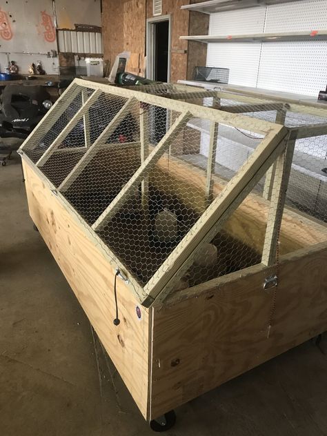 My SIL and I built a large brooder box for 37 chicks that I had ordered. I have left the link to Backyard Chickens where I posted more detailed information and photos. Large Chicken Brooder, Brooder Box Ideas Diy, Quail Coop Ideas Diy, Chicken Brooders, Chicken Brooder Box, Chicken Projects, Quail House, Chicken Coups, Chick Brooder