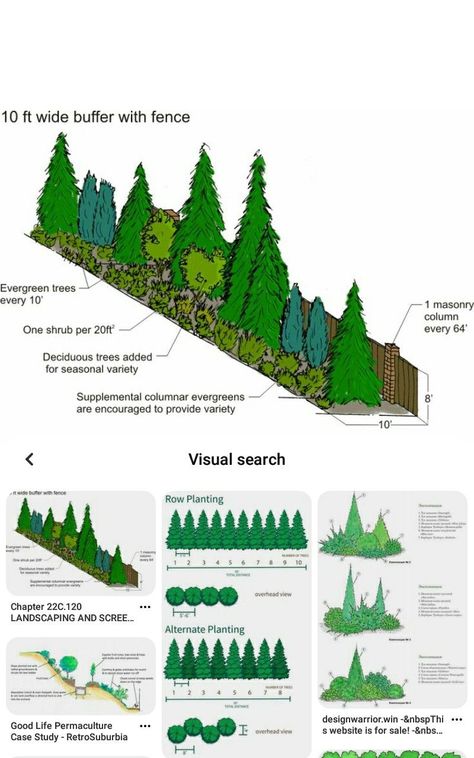 Evergreen Landscape, Landscaping With Large Rocks Front Yard, Landscaping With Large Rocks Natural, Privacy Landscaping, Landscaping With Boulders, Front Yard Garden Design, Landscaping With Large Rocks, Rock Garden Landscaping, Home Landscaping