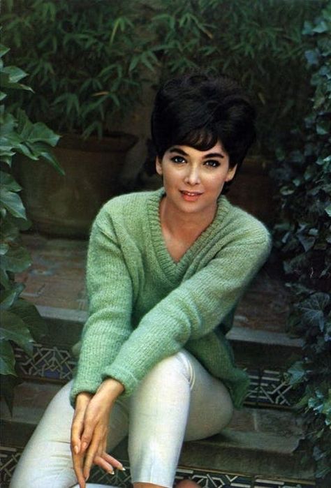 40 Glamorous Photos of Suzanne Pleshette in the 1960s ~ Vintage Everyday Emily Outfit, Alfred Hitchcock The Birds, Bob Newhart, Suzanne Pleshette, Megan Boone, Here There And Everywhere, Ny Strip, Dramatic Classic, Shoulder Hair