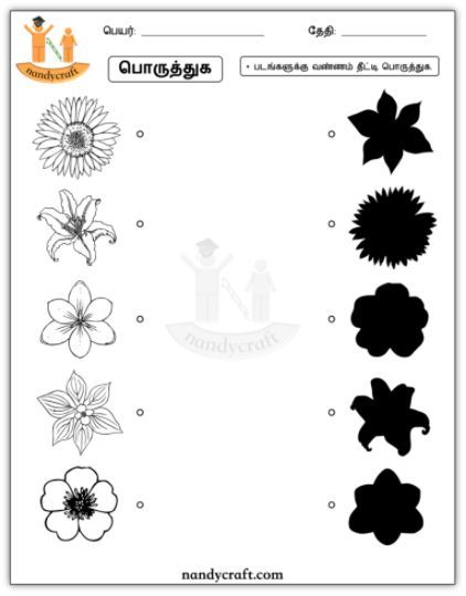 Flower shadow matching worksheet for kids in Tamil. Lkg Worksheets, Shadow Matching, Visual Perception Activities, Matching Worksheets, Worksheet For Kids, Free Kindergarten Worksheets, English Worksheets For Kids, Preschool Art Activities, Visual Perception