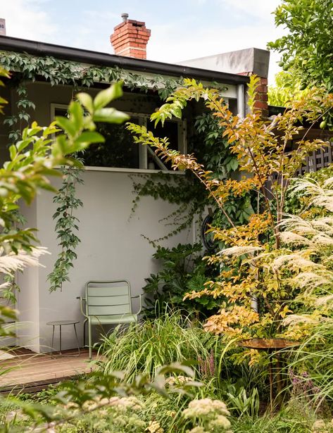 An Inner-City ‘Country’ Garden That’s Full Of Life Bungalow Garden, Cobblestone Pavers, Chicago Bungalow, Forest Gate, Virginia Creeper, Edwardian House, Backyard Fences, City Garden, Deck Garden