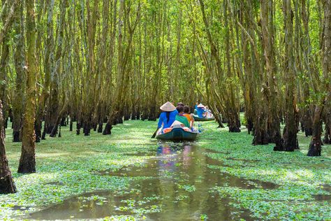 Cat Tien National Park, Vietnam Ho Chi Minh, Tonle Sap, Battambang, Beautiful Vietnam, Vietnam Voyage, Vietnam Travel Guide, Vietnam History, Backpacking Asia