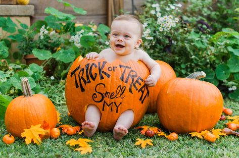 Halloween Baby Pictures, Fall Baby Photos, Fall Baby Pictures, Photo Bb, First Halloween Costumes, Baby Boy Halloween, Newborn Halloween, Monthly Baby Pictures