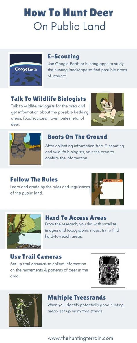 Do you want to know how to hunt deer on public land? Would you like to be successful in hunting deer on public land? Hunting deer on public land is quite different from hunting on private land. It is sometimes wrongly perceived that hunting deer on public land is not ... Read more The post How To Hunt Deer On Public Land appeared first on Love Infographics. How To Hunt Deer, Deer Hunting Season, Wildlife Biologist, Hunting Deer, Travel Route, Water Sources, Hunting Season, School Motivation, Deer Hunting