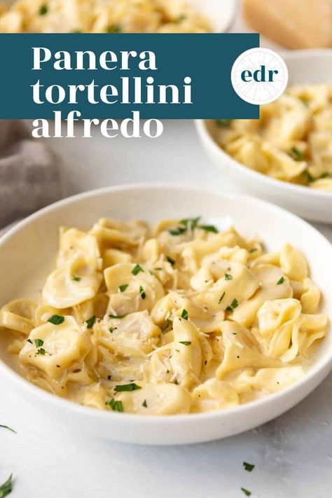 Tortellini Alfredo, Creamy Alfredo Sauce, Copycat Panera, Chicken Tortellini, Tortellini Recipes, Tortellini Pasta, Homemade Alfredo, Alfredo Sauce Recipe, Meatless Dinner