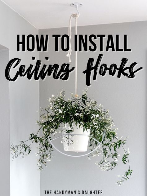 How To Hang Hanging Plants From Ceiling, How To Hang A Plant From The Ceiling, Ceiling Hooks For Plants, How To Hang Plants From Ceiling, Plants From Ceiling, Hang Plants From Ceiling, Hooks For Hanging Plants, Hanging Plant Hooks, Plant Hooks