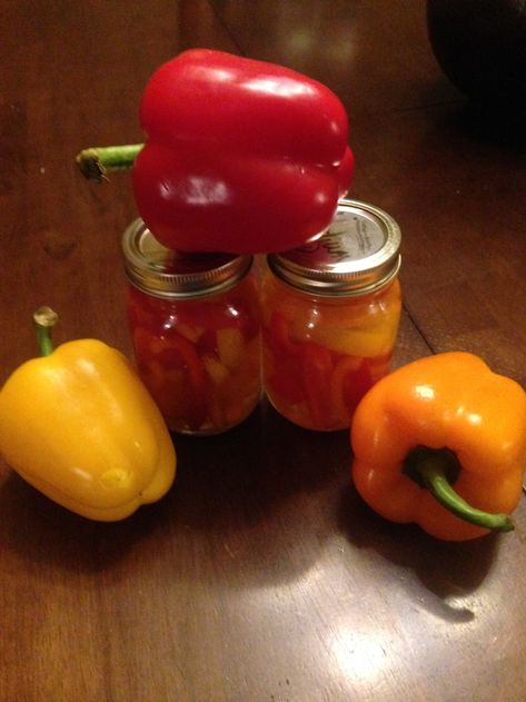 Quick and Easy Pickled Bell Peppers – Starrcreative.ca Pickled Sweet Red Peppers, Pickled Yellow Peppers, Yellow Jalapeno Peppers, Pickled Bell Peppers Canning, Yellow Peppers Recipes, Orange Pepper Recipes, Pickled Bell Peppers, Canning Bell Peppers, Peppers Pickled