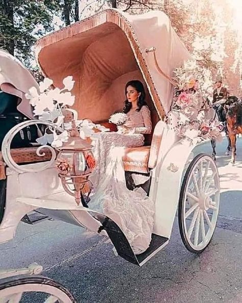 Horse And Carriage Wedding, Princess Wedding Theme, Disney Proposal, Fancy Wedding Cakes, Wedding Carriage, Horse Wedding, Princess Carriage, Wedding Transportation, Forest Wedding