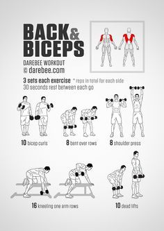 Back Biceps Workout, Forearm Workout At Home, Back And Biceps Workout, Biceps Workout At Home, Best Bicep Workout, Back Workout Men, Big Biceps Workout, Biceps Training, Back And Bicep Workout