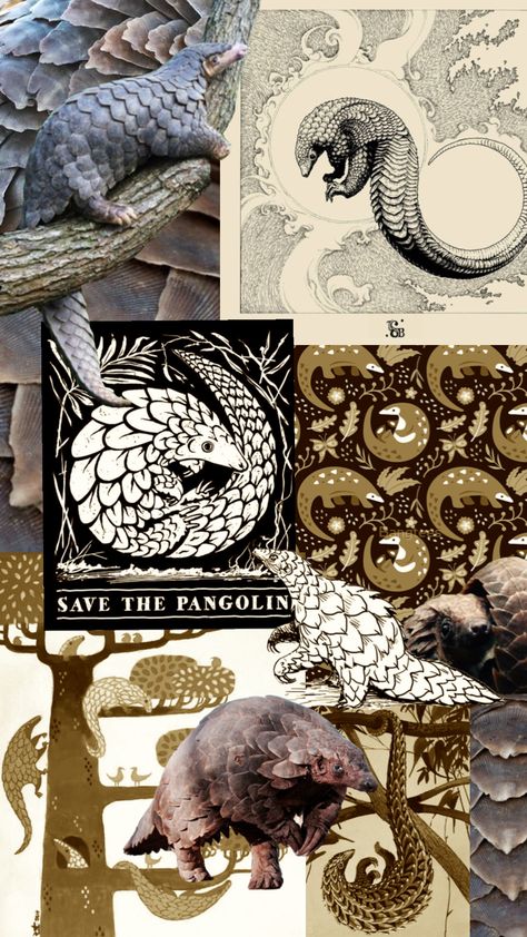 #aesthetic #moodboard #pangolin #wildlife #conservation #nature Wildlife Conservation Aesthetic, Conservation Aesthetic, Shuffles Aesthetic, Team Poster, Holiday Homework, Zoo Keeper, Aesthetic Moodboard, Artist Aesthetic, Wildlife Artists