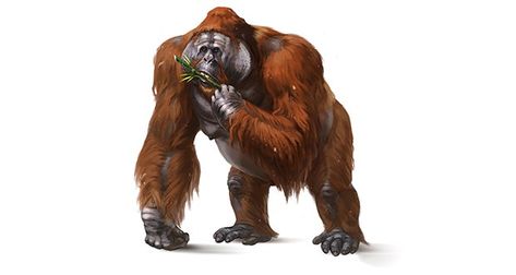 Gigantopithecus blacki Prehistoric Wildlife, Prehistoric World, Paleo Art, The Lost World, Lost World, Extinct Animals, Planet Of The Apes, Prehistoric Creatures, Prehistoric Animals