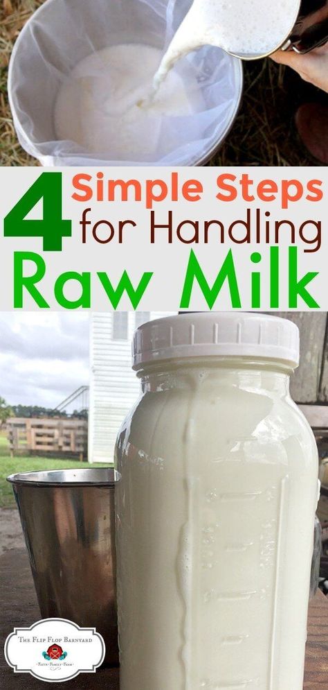 Homestead Cattle, Homesteading Life, Homestead Animals, Goat Milking, Goat Milk Recipes, Goat Care, Homestead Ideas, Dairy Goats, Mini Farm