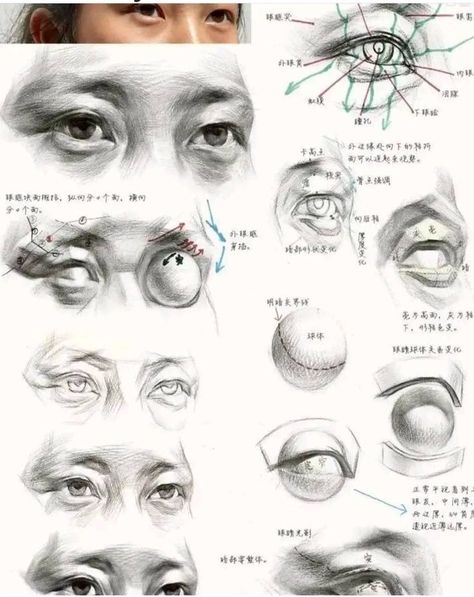 #linguaarte - Abirlal Mukherjee Eye Drawing Anatomy, Eye Study Drawing, Eyes Study Reference, Head Anatomy Drawing Study, Eye Anatomy Drawing, Eyes Anatomy, Anatomy Eyes, Portrait Drawing Tips, Eye Study