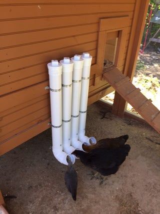 Auto Chicken Feeder, Peacock Habitat, Pvc Chicken Feeder, Chicken Tunnels, Chicken Feeder Diy, Homestead Animals, Modern Homestead, Types Of Chickens, Chicken Keeping