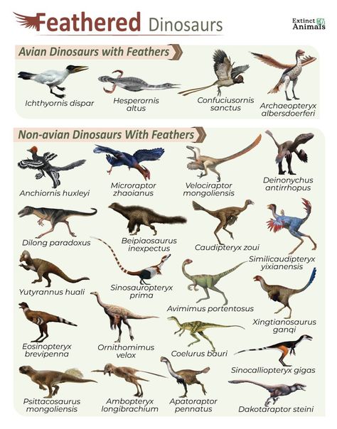 Dinosaur Types, Prehistoric Animals Dinosaurs, Prehistoric Creatures, Prehistoric Animals, Dinosaurs, Animals, Quick Saves