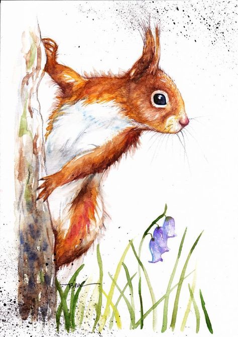 101 Kiskutya, Squirrel Painting, Squirrel Art, A Squirrel, Red Squirrel, Watercolor Animals, Wildlife Art, 그림 그리기, Animal Paintings