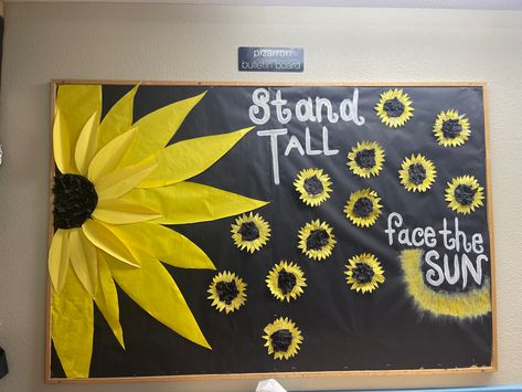 Barnyard Classroom, Sunflower Bulletin Board, Bee Classroom Decor, Sunflower Room, Disney Themed Classroom, Christian Bulletin Boards, Summer Bulletin Boards, Bulletin Boards Classroom Decor, Bee Classroom