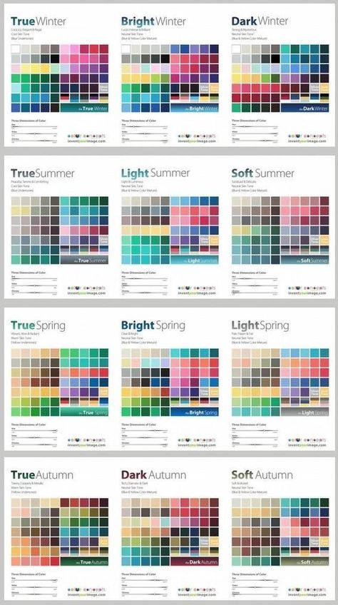 Colour Palette Seasons, Seasonal Color Analysis Spring, Spring Color Palette Analysis, Color Analysis Chart, True Summer Colour Palette, Soft Spring Color Palette, Spring Colour Analysis, Color Analysis Test, Colour Season Analysis