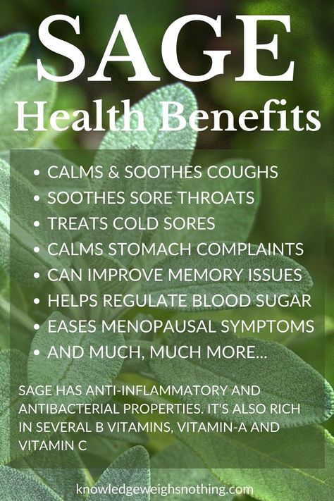 Sage Health Benefits, Homesteading Hacks, Sage Benefits, Easy To Grow Flowers, Growing Sage, Easy Herbs To Grow, Bushcraft Shelter, Sooth Sore Throat, Soothe Sunburn