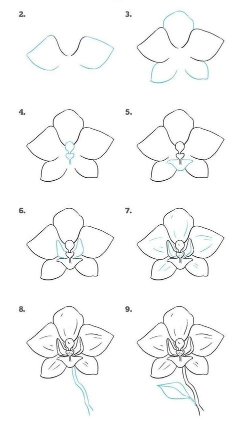 how-to-draw-a-flower-step-by-step-diy-tutorial-easy-pictures-to-draw-white-background Hur Man Ritar Blommor, Lotus Flower Drawing, Cute Flower Drawing, Easy Pictures To Draw, Orchid Drawing, Simple Flower Drawing, Easy Flower Drawings, Flower Step By Step, Architecture Drawing Sketchbooks