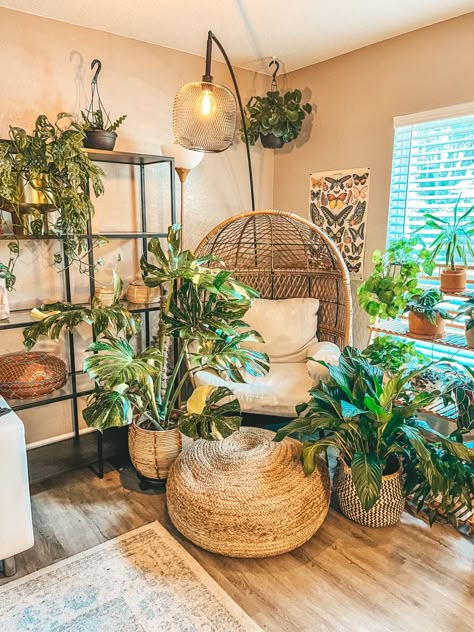 Plants, decor, boho, interior decorating, indoor plants, egg chair Plant Corner Ideas Bedroom, Plant Corner With Chair, Library And Plant Room, Indoor Jungle Room House Plants, Plants Corner Bedroom, Eclectic Reading Corner, Plant Zen Room, Plant Reading Corner, Indoor Plant Corner Ideas