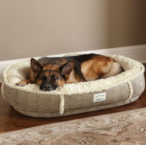 Dog Beds For Large Dogs Aesthetic, Dog Beds Aesthetic, Dog Bed Aesthetic, Dog Bed Big, Big Dog Bed, Big Dog Beds, Basket Dog Bed, Large Dog Bed, Dog Accesories