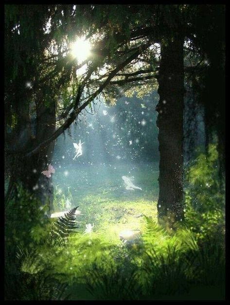 Photo In The Forest, The Forest, The Sun, Butterflies, Trees, Forest, Sun