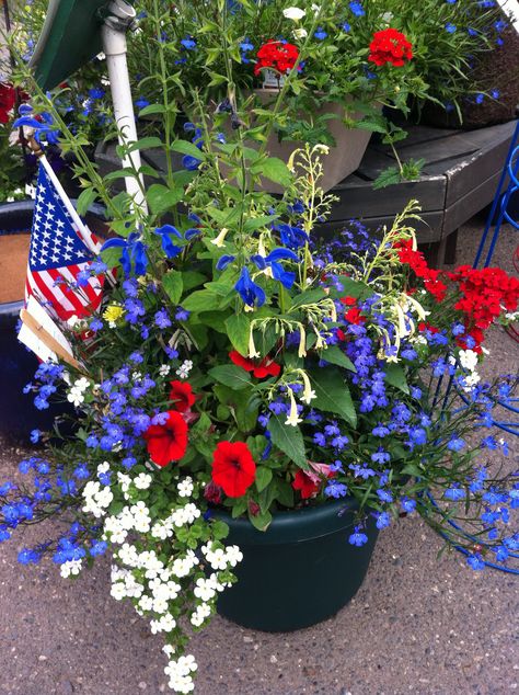 4th of july outdoor floral  | Share Red White And Blue Flowers, July Garden, Patriotic Flowers, July 4th Holiday, Porch Flowers, Blue Planter, Container Gardening Flowers, White And Blue Flowers, Garden Containers