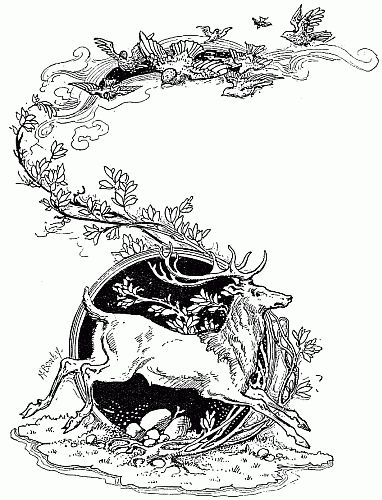 "Stag" from Royal Children of English History,  by E. Nesbit  Illustrated by Frances Brundage and M. Bowley. Birds Illustration, Japan Illustration, Deer Illustration, Fairytale Illustration, Vintage Fairies, Antique Illustration, Vintage Illustrations, Bird Illustration, Christmas Illustration