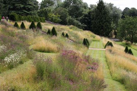 Formal Garden Design, Prairie Garden, Meadow Garden, Sloped Garden, Planting Design, Grasses Garden, Formal Garden, Have Inspiration, Formal Gardens