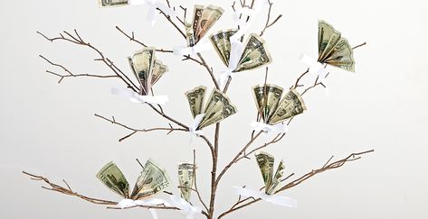 Chinese money tree