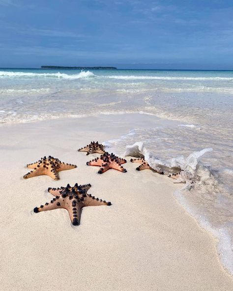 Balabac, Palawan by @itsmemermazing #balabac #philippines Black Hair Roblox, Palawan, Dream Destinations, Beach Photos, Travel Photos, Philippines, Paradise, Water, Travel