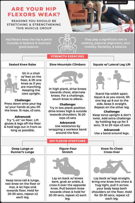 The hip flexor muscles, which flex the hip and bring the knee up towards the chest, are made up of several muscles collectively known as hip flexors, and they play a crucial role in a variety of movements required for daily activities. #sunnyhealthfitness #hip flexor #stretching #muscle #musclegroup #wellness #health #fitness Hip Flexor Exercises, Muscle Testing, Hip Flexor Stretch, Hip Stretches, Hip Flexors, Muscle Anatomy, Light Exercise, Knee Up, Hip Openers