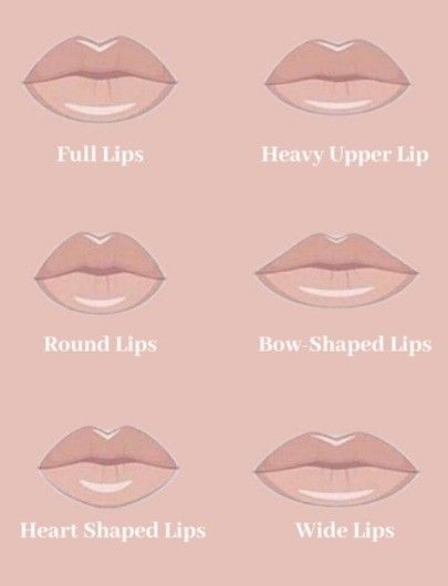 Types Of Lips Shape, Thick Lips, Lip Types, Types Of Kisses, Healthy Heart Tips, Cute Tshirt Designs, Shape Chart, Turmeric Vitamins, Kissing Lips