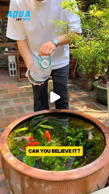 Aqua Layouts on Instagram: "Can you believe it ?#fish #fishtanks #fishtank #viral #fishlover #aquarium #aquariumfish #viralvideos #reels" Aquaponics Diy Indoor Fish Tanks, Aquarium Layout, Hydroponic Fish Tank, Fish Tank Garden, Aqua Scaping, Fish Tank Ideas, Aquascape Design, Aquaponics Fish, Topiaries