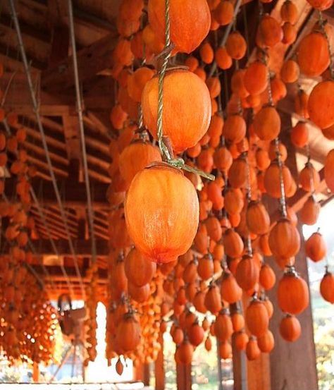 Dried Persimmons, Korean Fruit, Persimmon Recipes, French Lifestyle, Cool Food, Mountain Village, Food Prep, Persimmon, Aesthetic Room Decor