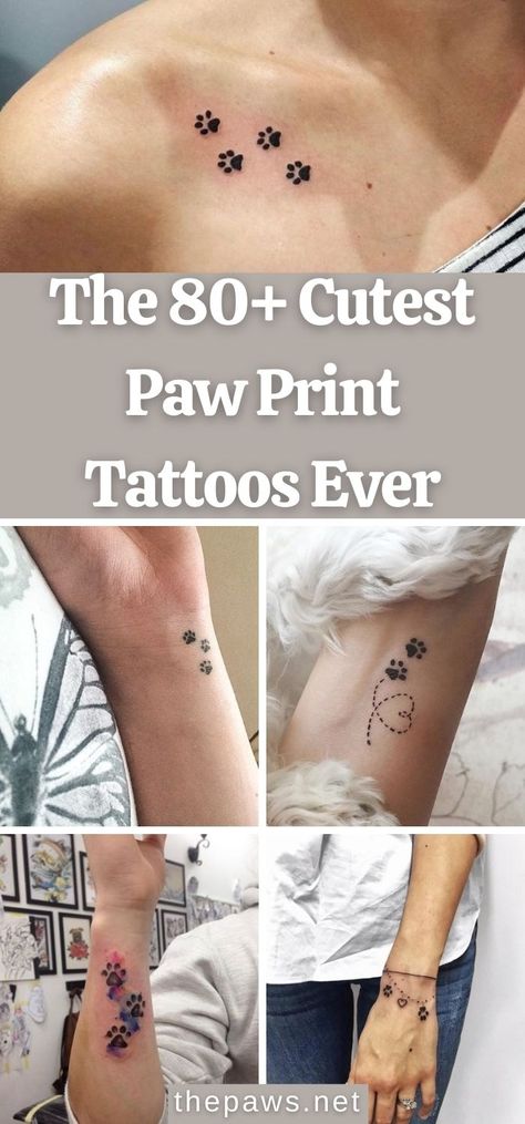 We've collected some of the most beautiful paw print tattoos ever to help you decide which is the best to decorate on your body. Paw Print Ankle Tattoos For Women, 3 Cat Paw Print Tattoo, Cute Dog Paw Tattoos, Doggie Paw Tattoo, Cute Dog Print Tattoo, Cat Paw Print Tattoo On Wrist, Dog Print Memorial, Cat And Dog Tattoo Paw Prints, Four Paw Print Tattoo