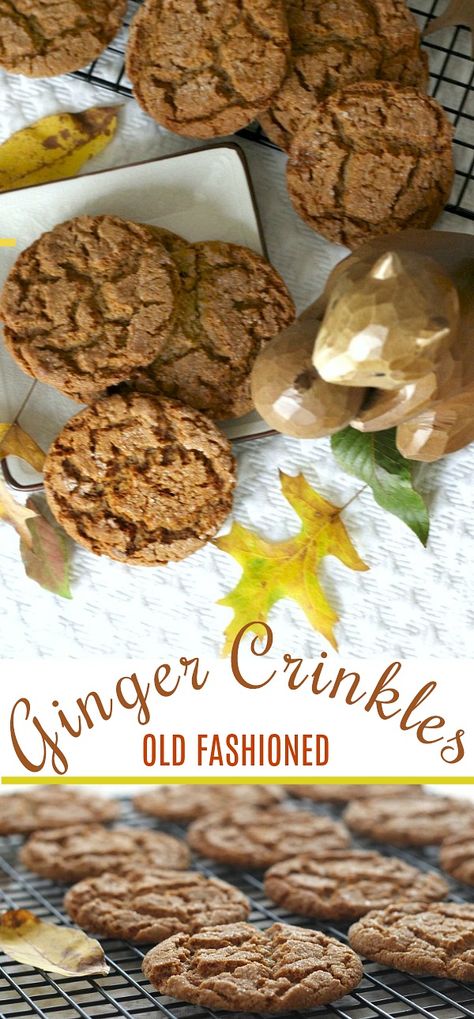 Ginger Crackle Cookies, Ginger Crinkles, Crinkles Cookies, Cookies With Kids, Crinkles Recipe, Oatmeal No Bake Cookies, Crackle Cookies, Grateful Prayer, Crinkle Cookies Recipe