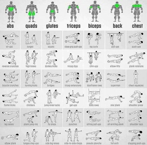 Interested in calisthenics??!! Exercise Chart, Best Full Body Workout, Full Body Workout Plan, Fitness Studio Training, Flat Abs Workout, Workout Man, Gym Antrenmanları, Full Body Workout Routine, Body Workout Plan