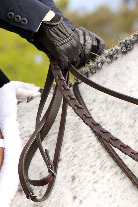 Equine Outfits, Rose Aesthetics, Horse Reins, Dream Stables, Equestrian Aesthetic, Equestrian Fashion, English Riding, Equestrian Lifestyle, Horse Equestrian