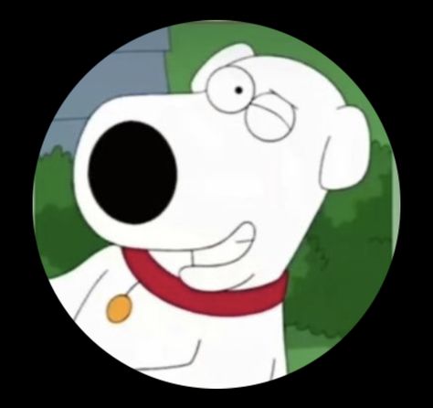 Brian Griffin Meme, Bryan Family Guy, Brian Griffin Pfp, Brain Griffin, Asher Core, Brian Family Guy, Brian Griffin, Family Guys, Cleveland Show