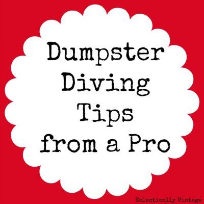 Dumpster Diving Tips from a Pro eclectically Vintage Dumpster Diving, The Homestead, Homestead Survival, Flea Market Finds, Trash To Treasure, Saving Ideas, Thrift Shopping, Free Stuff, Blog Tips