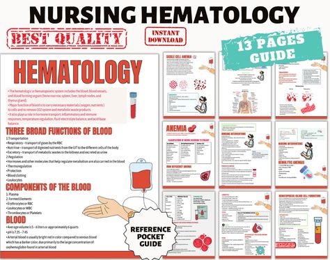 Hematology Notes, Hematology Nursing, Function Of Blood, Med Surg Nursing, Acid Base Balance, Cardiac Nursing, Med Surg, Nursing School Notes, Lymph Nodes