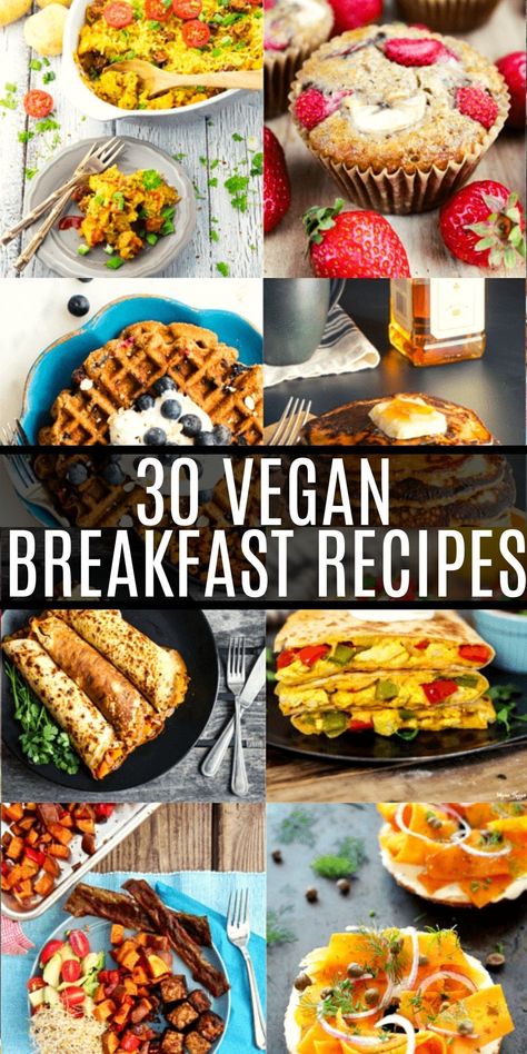 Vegan Breakfast Recipes Easy, Best Vegan Breakfast, Vegan Brunch Recipes, Plant Based Recipes Breakfast, Vegan Breakfast Easy, Healthy Vegan Breakfast, Vegan Brunch, Vegetarian Breakfast Recipes, Savory Vegan