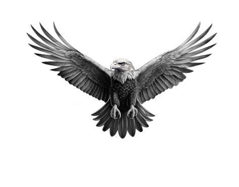 Eagle Open Wings Tattoo, Eagle Landing Tattoo, Eagle Knee Tattoo, Eagle Throat Tattoo, Eagle Tattoo Back, Flying Eagle Tattoo, Eagle Tattoo Men, Black Eagle Tattoo, Eagle Tattoo Design