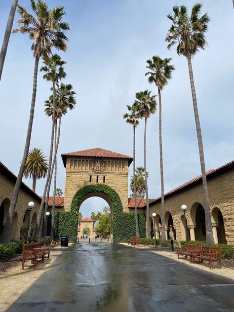 Stanford Aesthetic, Stanford Library, Stanford California, University Inspiration, College Vibes, College Goals, University Aesthetic, Pinterest Widget, Dream Collage