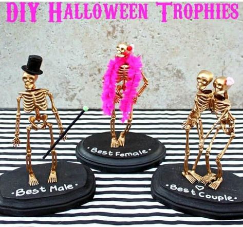 Best Costume Trophy, Halloween Trophies, Halloween Block Party, Perfect Halloween Party, Halloween Fest, Best Costume, Adult Halloween Party, Halloween Pumpkins Carvings, Scary Halloween Decorations